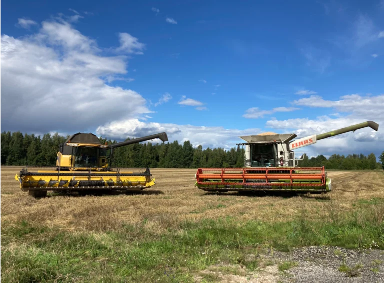 New Hollandi ja Claasi kombain vilja koristamas